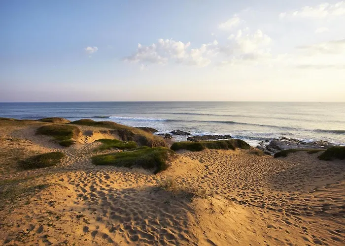 Le Du Safran Bretignolles-sur-Mer